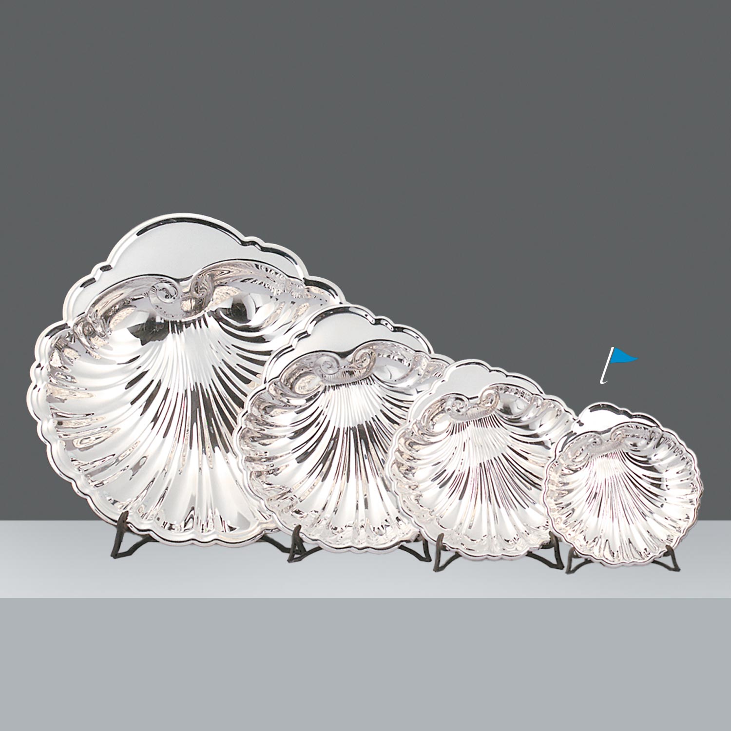 SHELL 18 X 17cm