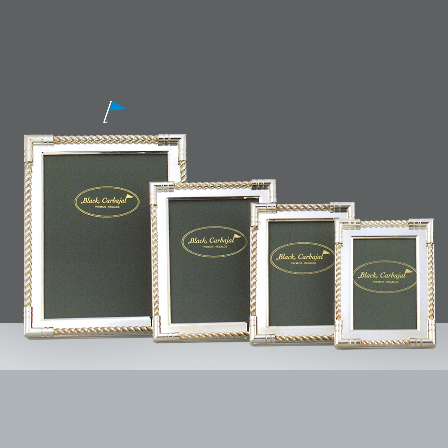 MARCO NIZA C/SOGA PLAT.18X24
