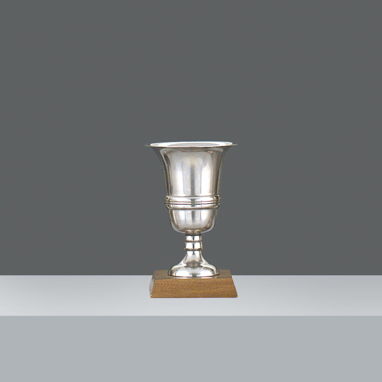 COPA SPORT Nº4 h.18.2cm - OLD SILVER