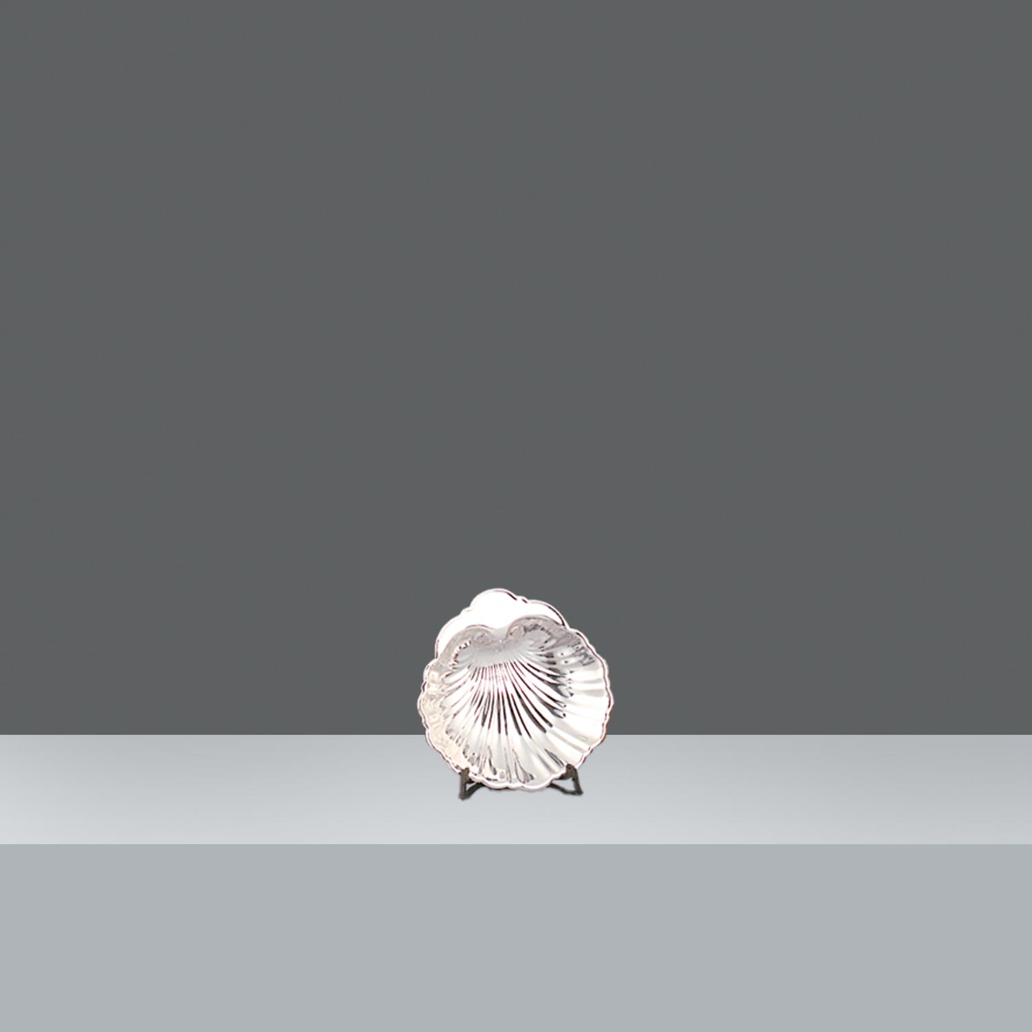 SHELL 12.5 X 12cm