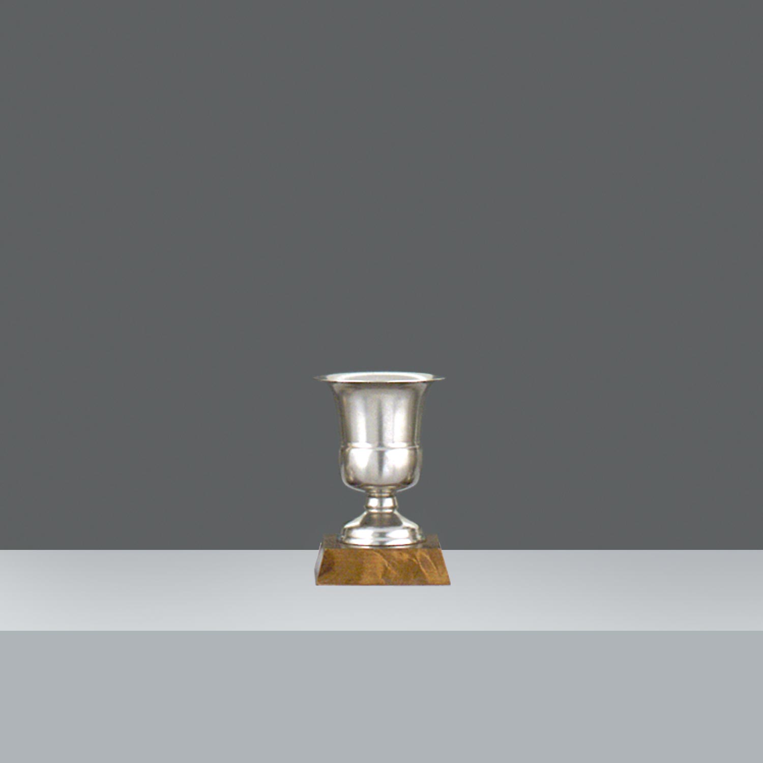 COPA AMBASSADOR LISA Nº2 h.12cm - OLD SILVER