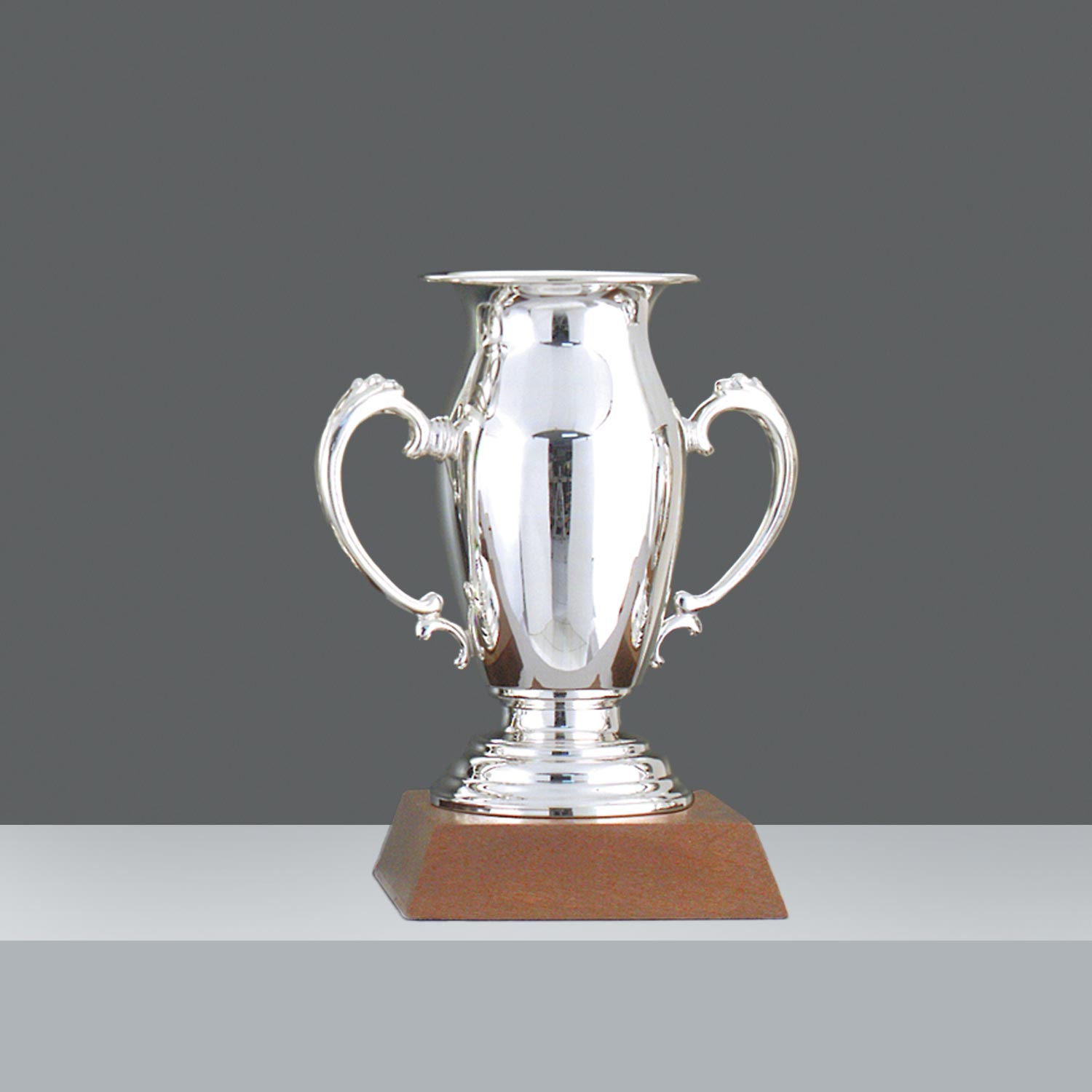 COPA MOTOR Nº2