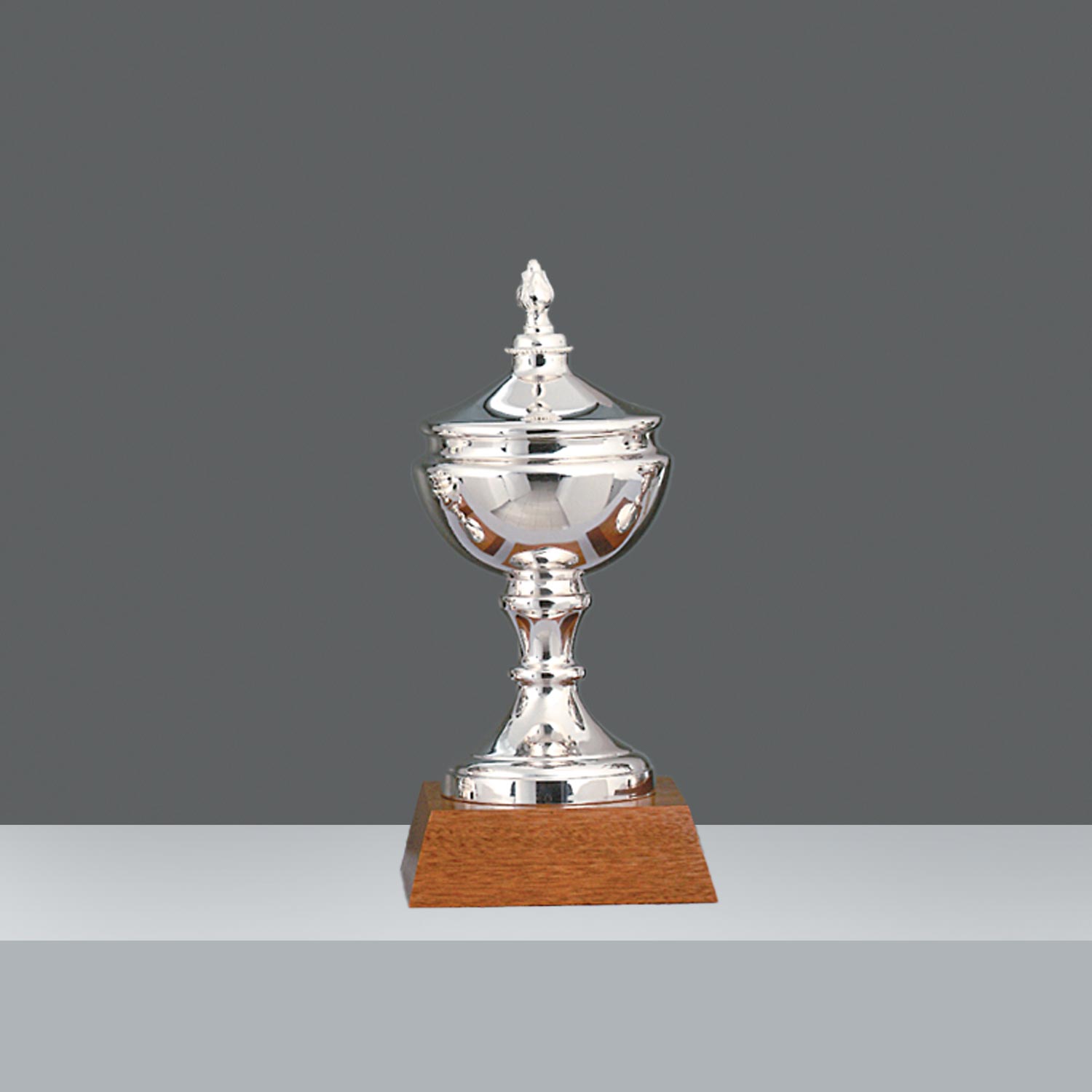 COPA GRAN PRIX LISA Nº3 h.28cm