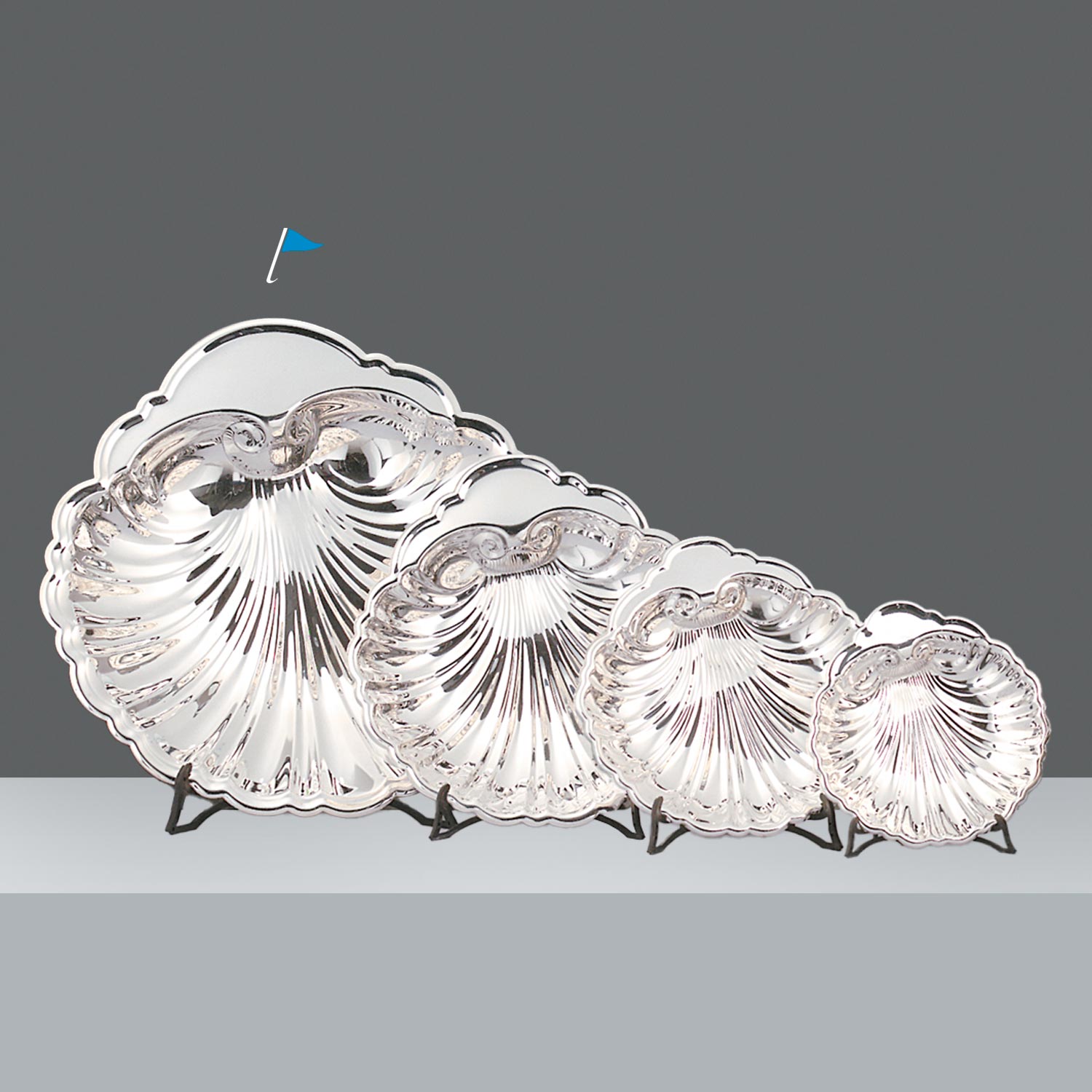 SHELL 37.5 X 37cm