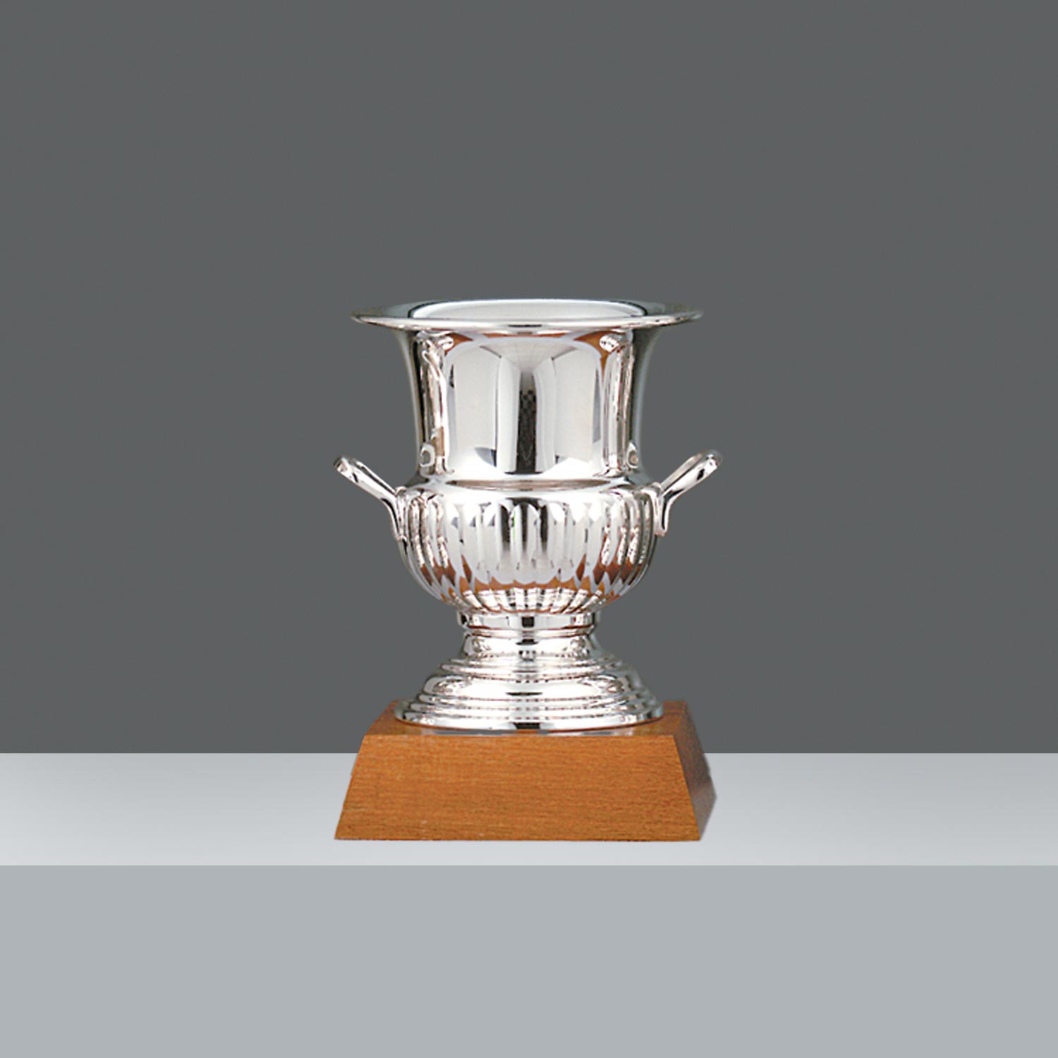 COPA CHAMPAGNE CINC. Nº4 24.5cm
