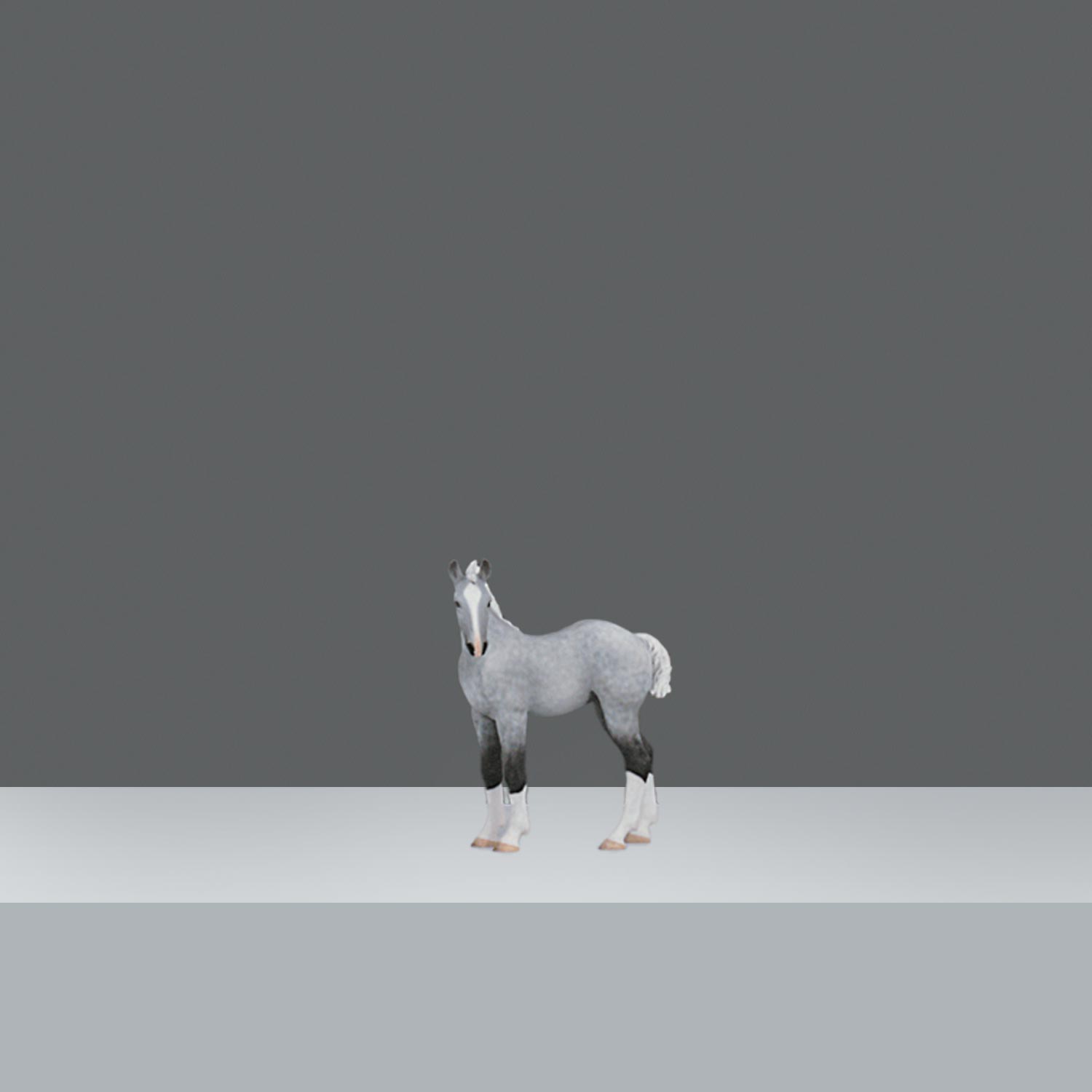 ESTATUILLA CABALLO