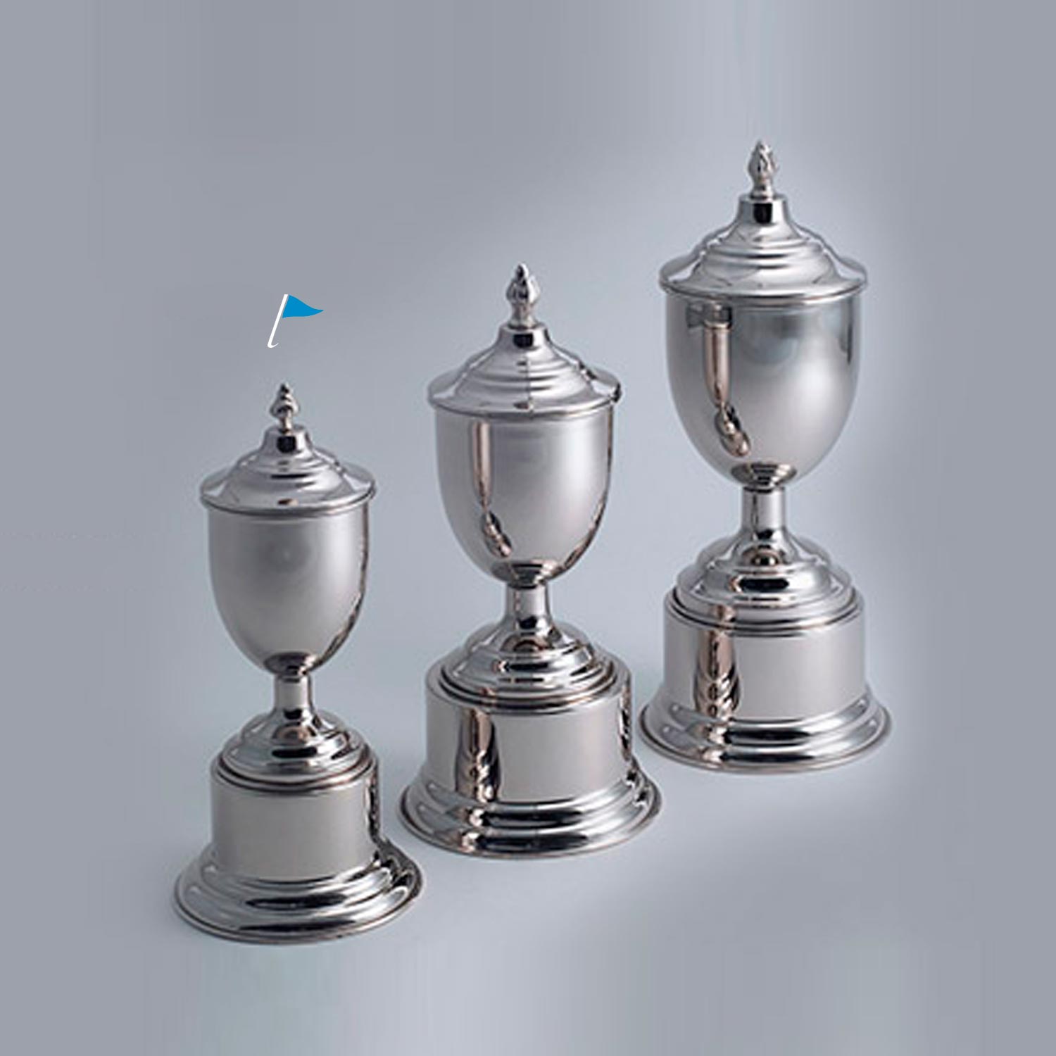 COPA OLIVOS SIN ASAS CON BASE Y TAPA H 29 cm