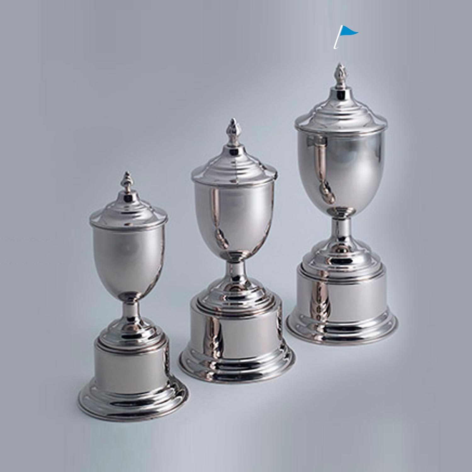 COPA OLIVOS SIN ASAS CON BASE Y TAPA H 38 cm