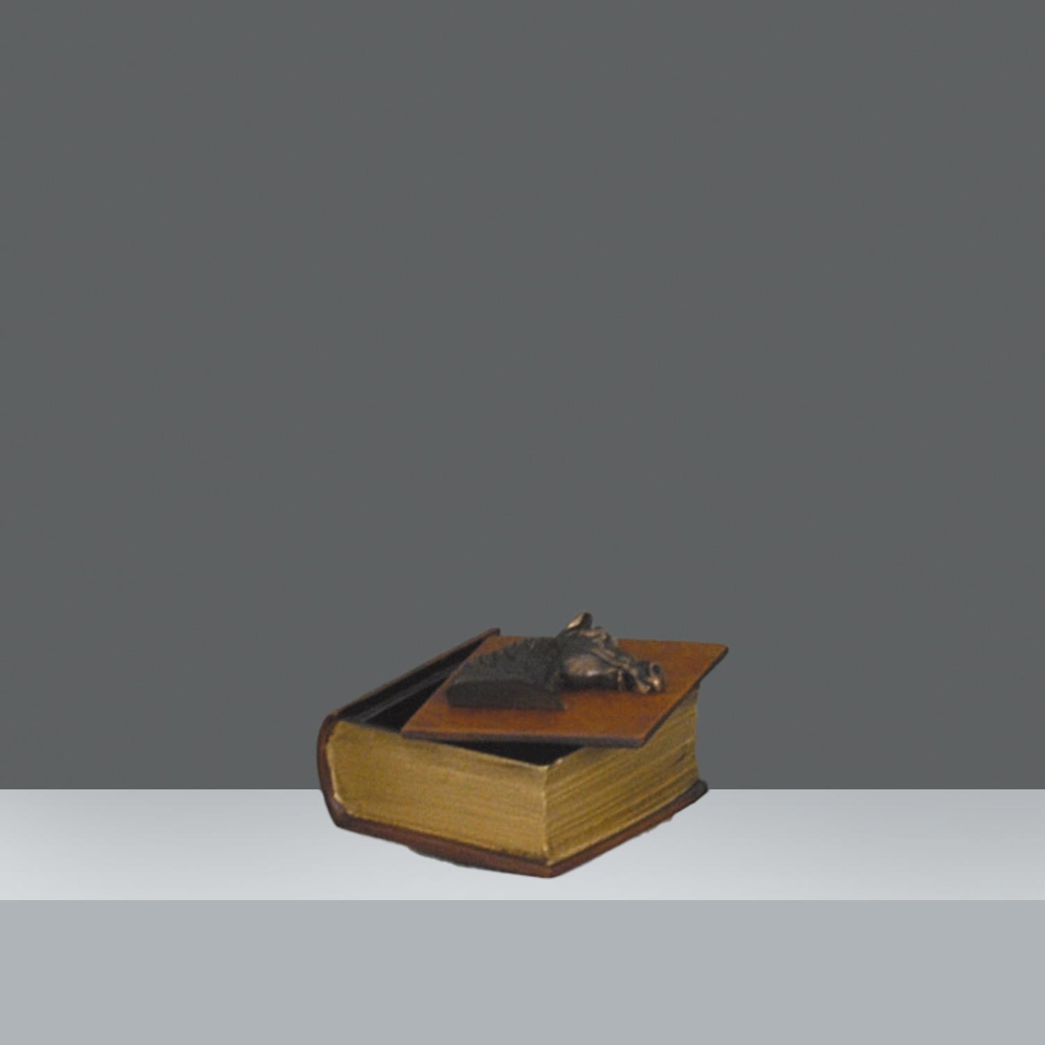 CAJITA ESCRITORIO 5x11x11cm