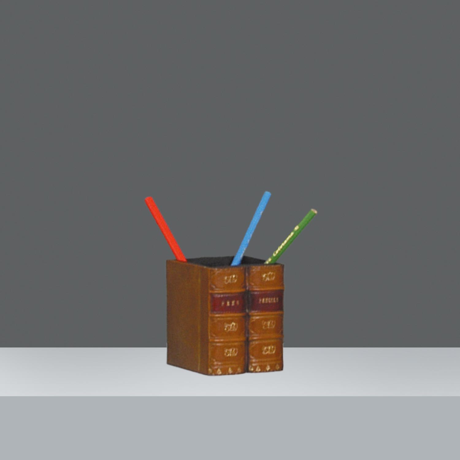 LAPICERO LIBRO