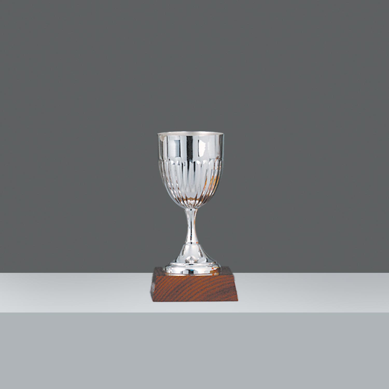 COPA ARPLAT CINC. 24.5cm
