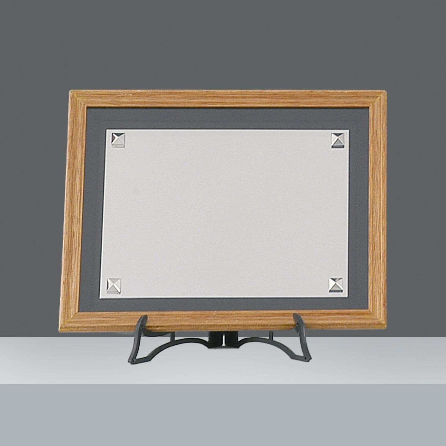 PLACA ESPECIAL CON MARCO