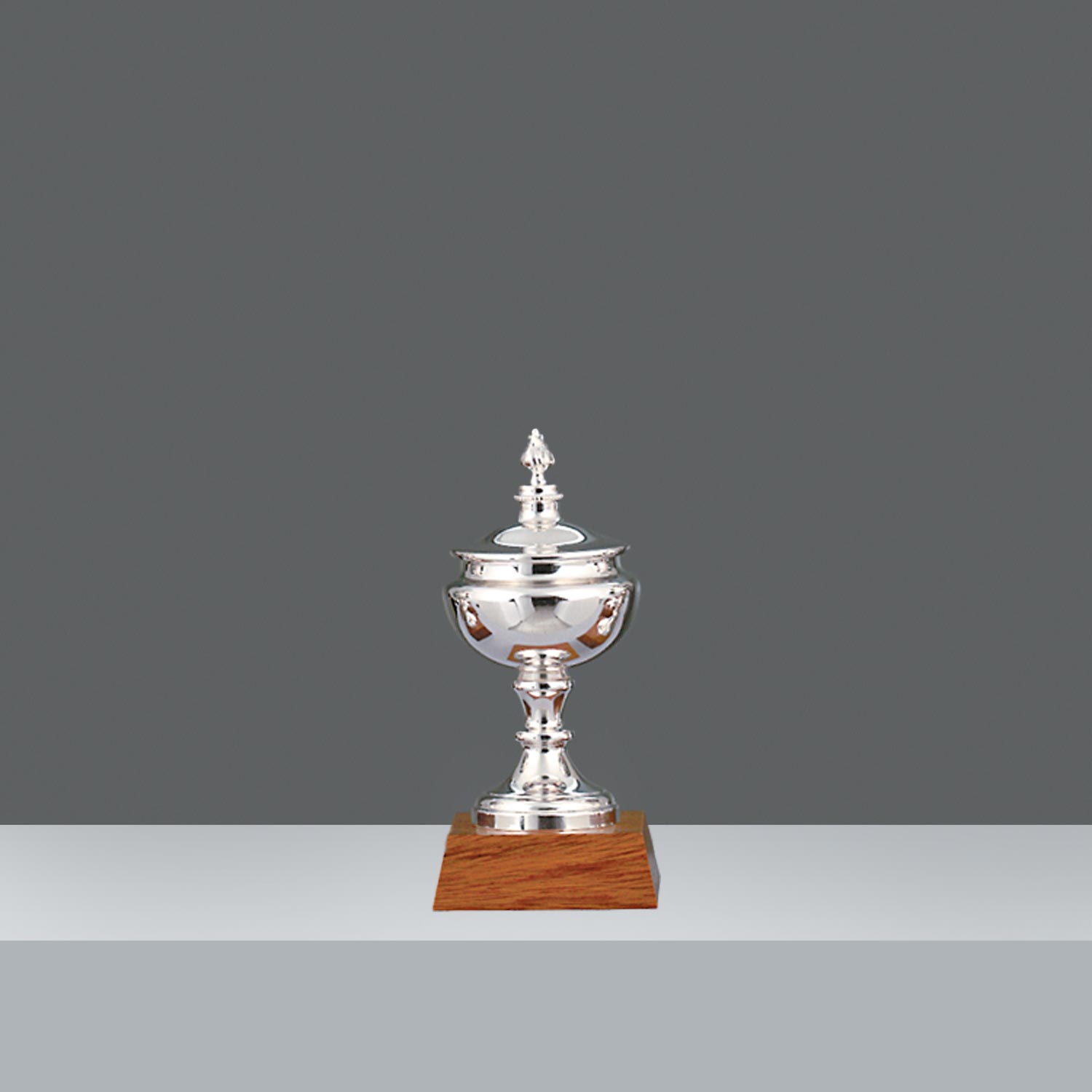 COPA GRAN PRIX LISA Nº1 h.22cm