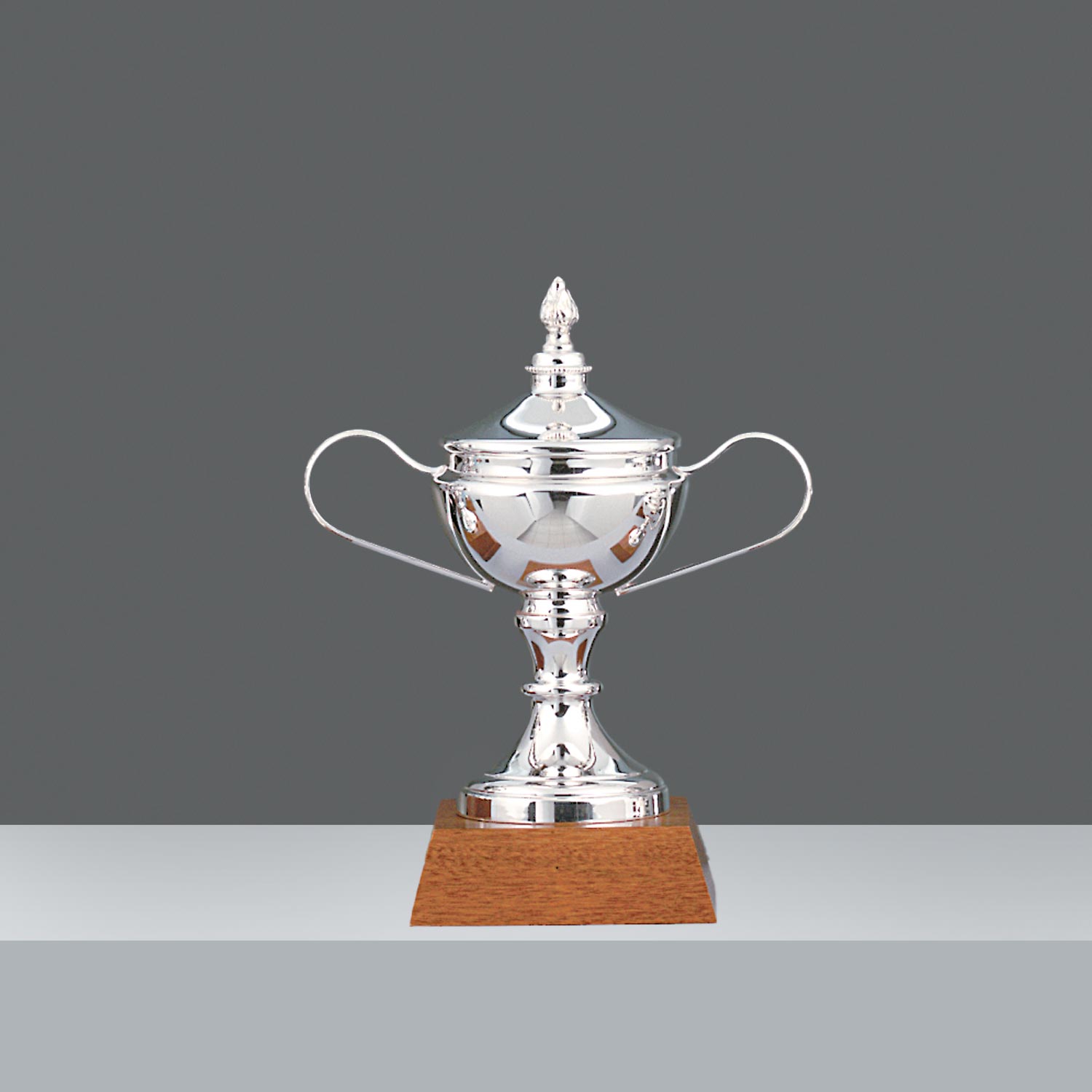 COPA GRAN PRIX LISA C/ASAS Nº3 h.28cm